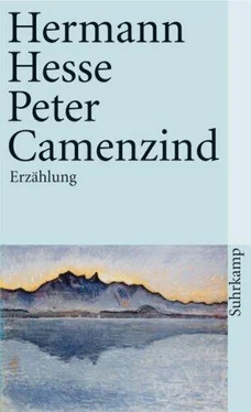 Hermann Hesse Peter Camenzind обложка книги