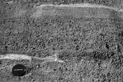 FIGURE 11Apparently a lens cap has been dropped on the ground Now turn the - фото 67