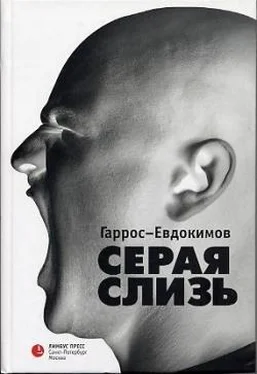 Гаррос-Евдокимов Серая слизь обложка книги