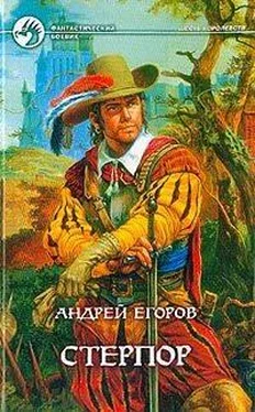 Андрей Егоров Стерпор обложка книги