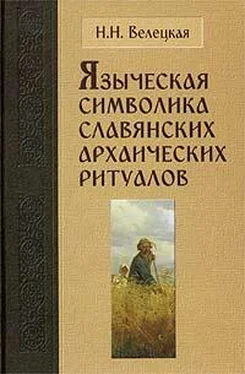 Наталья Велецкая Языческая символика славянских архаических ритуалов обложка книги