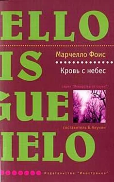 Марчелло Фоис Кровь с небес обложка книги