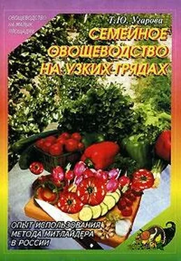 Татьяна Угарова Семейное овощеводство на узких грядах обложка книги