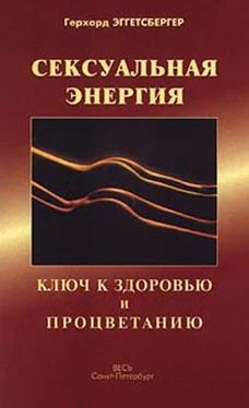 Герхард Эггетсбергер Сексуальная энергия. Ключ к здоровью и процветанию обложка книги