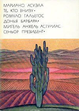 Мариано Асуэла Те, кто внизу обложка книги