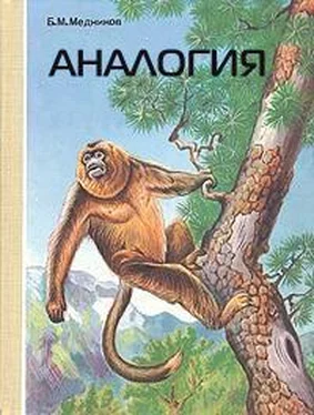 Борис Медников Аналогия обложка книги