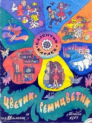Валентин Катаев - Цветик-семицветик