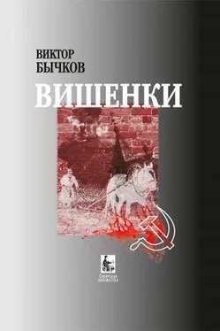 Виктор Бычков Вишенки обложка книги