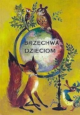 Jan Brzechwa Brzechwa dzieciom обложка книги