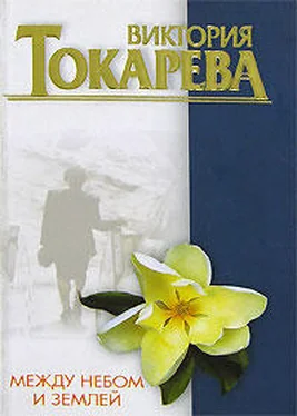 Виктория Токарева Между небом и землей обложка книги