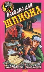 Екатерина Вильмонт - Находка для шпиона