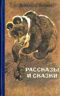 Виталий Бианки Рассказы и сказки обложка книги