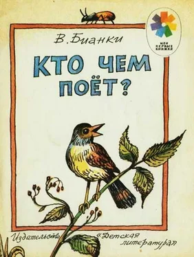 Виталий Бианки Кто чем поет? обложка книги