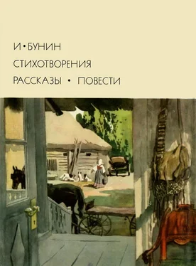 Иван Бунин Стихотворения. Рассказы. Повести обложка книги