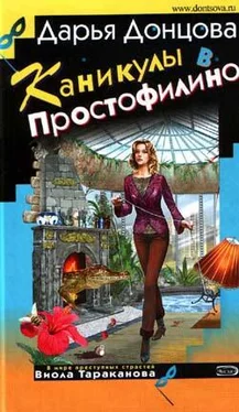 Дарья Донцова Каникулы в Простофилино обложка книги