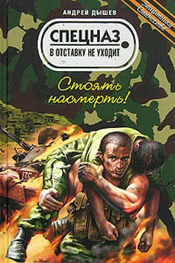 Андрей Дышев Стоять насмерть! обложка книги