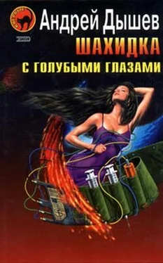 Андрей Дышев Шахидка с голубыми глазами обложка книги