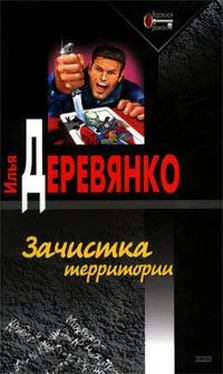 Илья Деревянко Зачистка территории обложка книги