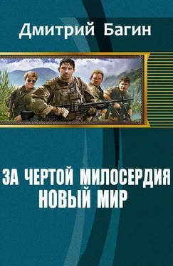 Дмитрий Багин За чертой милосердия. Новый мир (СИ) обложка книги