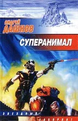 Андрей Дашков - Человек дороги