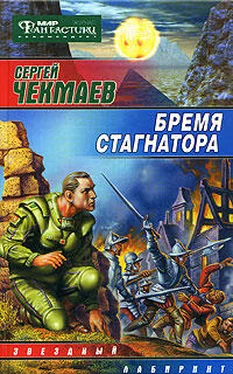 Сергей Чекмаев Бремя стагнатора обложка книги
