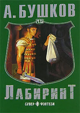 Александр Бушков Лабиринт обложка книги