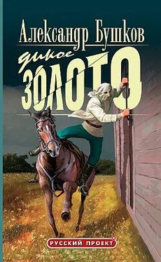 Александр Бушков Дикое золото обложка книги