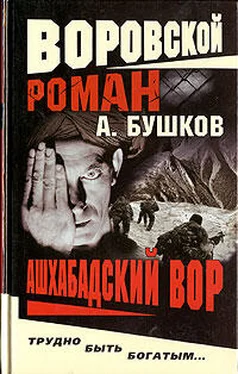 Александр Бушков Ашхабадский вор обложка книги