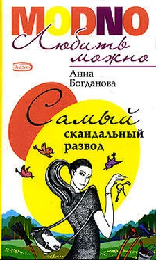 Анна Богданова Самый скандальный развод обложка книги