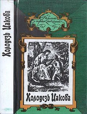 Поль Бенуа Колодезь Иакова обложка книги