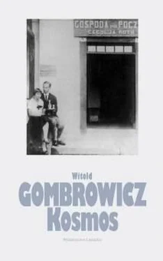 Witold Gombrowicz Kosmos обложка книги