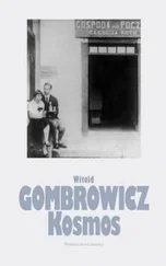 Witold Gombrowicz - Kosmos