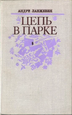 АНДРЕ ЛАНЖЕВЕН Цепь в парке обложка книги