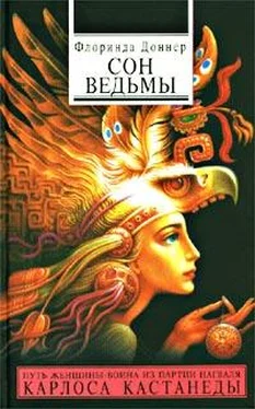 Флоринда Доннер Сон ведьмы обложка книги