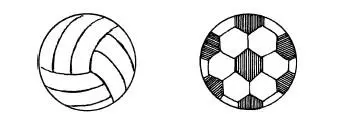 Эти мячи одинаковые по размеру Листья одинаковые по форме По размеру - фото 7