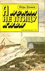 Игорь Зотиков - Я искал не птицу киви