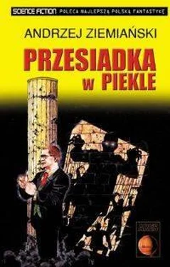 Andrzej Ziemiański Przesiadka W Piekle обложка книги