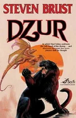 Стивен Браст - Дзур