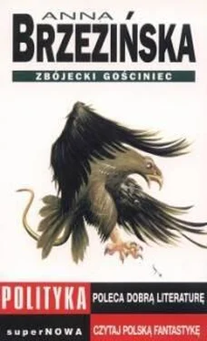Anna Brzezińska Zbójecki Gościniec обложка книги
