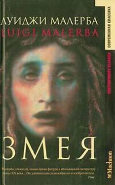 Луиджи Малерба Змея обложка книги