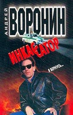 Андрей Воронин Я вернусь... обложка книги