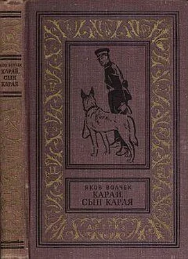 Яков Волчек Карай (Проводник С.Р.С.) обложка книги