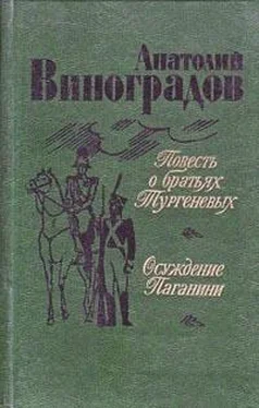 Анатолий Виноградов Повесть о братьях Тургеневых обложка книги