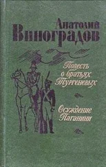 Анатолий Виноградов - Повесть о братьях Тургеневых