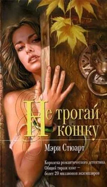 Мэри Стюарт Не трогай кошку обложка книги