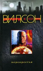 Фрэнсис Вилсон - Перекрестья