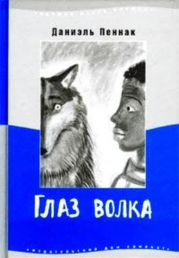 Даниэль Пеннак Глаз волка обложка книги