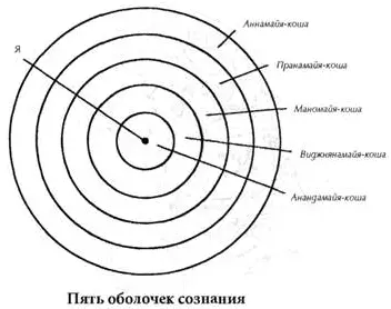 Физическое тело состоит из восьми компонентов которые носят общее название - фото 4