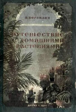 Николай Верзилин Путешествие с домашними растениями