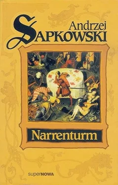 Andrzej Sapkowski Trylogia o Reynevanie – I Narrenturm обложка книги